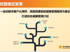 阳光保少儿版5大亮点案例演示20页.pptx