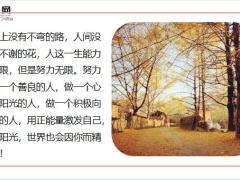 每日鸡汤努力的最大成就感就是一切都在朝着自己想要的方向走.zip