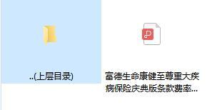 富德生命康健至尊重大疾病保险庆典版条款费率规则.rar