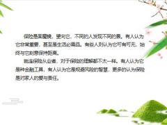 卖保险而己总拿爱与责任说事我告诉你原因17页.pptx