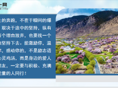 每日鸡汤莫找借口失败只找理由成功.zip