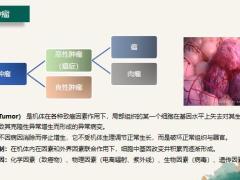 富德生命康健至尊庆典版训练篇之特定疾病24页.pptx