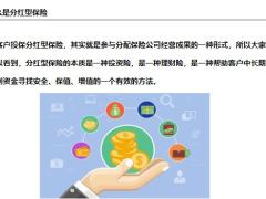 分红型保险红利的来源特点优点22页.pptx