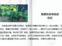 彻底解惑年金险VS增额终身寿18页.pptx