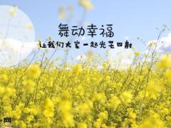 2022春天鲜花早会模板流程10页.ppt