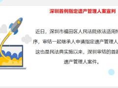 深圳首例指定遗产管理人案宣判17页.pptx