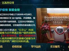 爱心人寿映山红增额终身寿险与爱同行32页.pptx