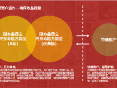 国寿鑫裕尊享十年期必备技能之投资和账户收益23页.pptx