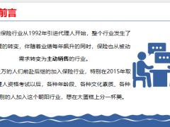 保险专题寿险营销的四种模式19页.pptx
