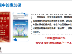 个人销售业绩展示信息整理促加保目标心得感悟25页.pptx