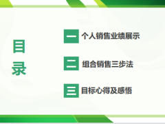 个人销售业绩展示组合销售三步法目标心得感悟26页.pptx