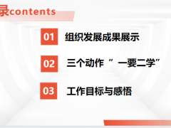 组织发展成果展示三个动作工作目标感悟28页.pptx