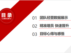 团队经营数据展示精准增员目标心得感悟31页.pptx