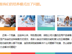 保险就是解决人和钱的风险问题19页.pptx