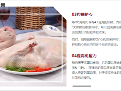 每日健康鸭肉比猪肉滋补比羊肉便宜降脂护心提高免疫力还不上火9页.ppt