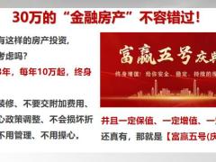 富德生命人寿富赢五号房产版介绍15页.pptx