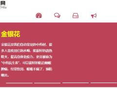 每日健康咽喉的保护伞每天泡水喝清热利咽喉咙不痛了预防咽炎5页.ppt