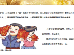 太平国玺世享标准客户销售逻辑21页.pptx