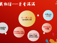 富德生命尊享健康重大疾病保险庆典版荣耀上市21页.pptx