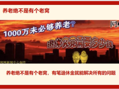 2022年养老年金类保险市场分析16页.pptx