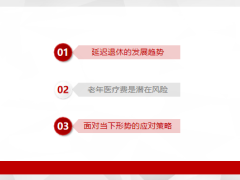 延迟退休的发展趋势潜在风险应对策略28页.pptx