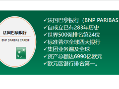 中荷人寿国际化优质服务介绍36页.pptx