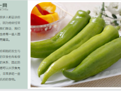 每日健康青椒和它一起炒癌细胞最怕隔三差五吃血管越来越干净14页.ppt