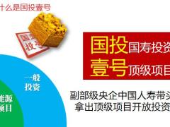 国寿星光璀璨国投壹号主讲项目权益解读37页.pptx
