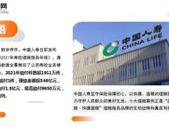中国人寿2021年十大寿险理赔案例15页.ppt