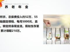 增额终身寿VS养老年金怎么选22页.pptx