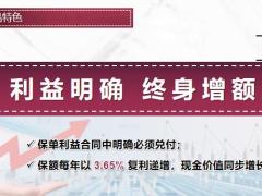 中英人寿传世鑫享增额终身寿险产品特色产品形态24页.pptx