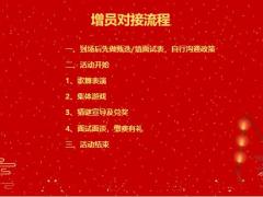 2022元宵节灯谜增员活动推动15页.pptx