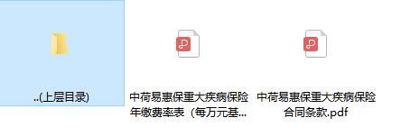 中荷易惠保重大疾病保险合同条款费率.rar