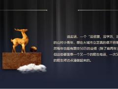 分享没有高端客户这片目标市场还是蓝海17页.pptx