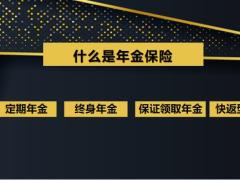 年金险与增额终身寿险解析两者相同与不同28页.pptx