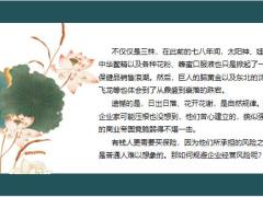 为什么大额年金保险是抵御企业风险的现金流15页.pptx