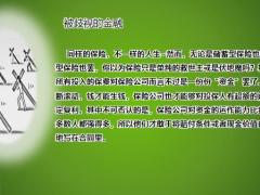我们为什么需要储蓄型保险20页.pptx