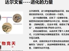 长城人寿吉康人生挚爱版山海关增额两全产品宣传片47页.pptx