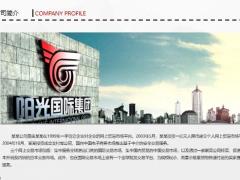 动态灰色项目合作计划书PPT模板35页.pptx