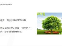 买保险杜绝投保的伪需求15页.pptx
