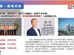 长城山海关增额两全保险产品亮点公司介绍开发背景尊享价值服务案例演示30页.pptx