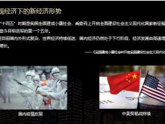 中英人寿传世鑫享终身寿险产品开发背景特色责任案例28页.pptx