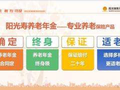 阳光寿养老年金保险产品解析33页.pptx