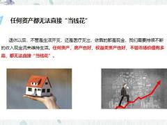 终身现金流对退休生活的幸福很关键14页.pptx