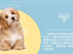线上经营与线上活动量管理16页.pptx