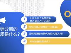 保险公司中介公司独立代理人银行保险互联网保险的关系及趋势18页.pptx