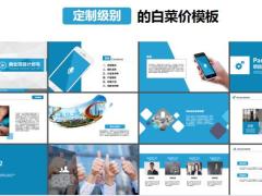 静态灰蓝色商业项目计划书PPT模板40页.pptx