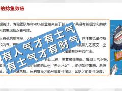 框架式增员意义理念导入篇21页.pptx