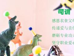 保险公司团队庆生早会流程15页.ppt