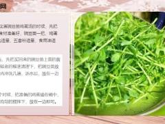每日健康视力模糊吃这菜一斤几块钱美味可口视力越来越清晰7页.pptx